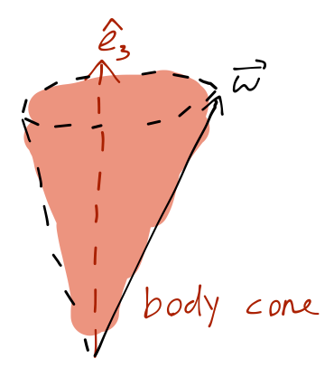 The "body cone".