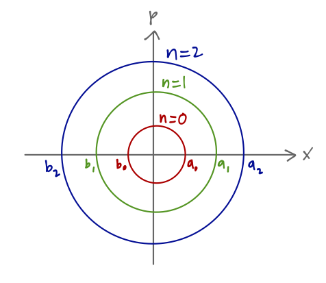 Sketch of quantized phase orbits in x/p space.